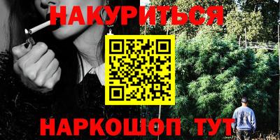 твердый Бийск