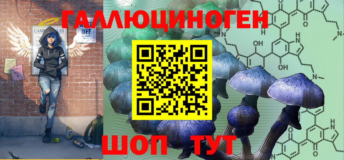 Гудермес  Галлюциногенные грибы Psilocybe  Вход с VPN  Псилоцибиновые грибы Cubensis 